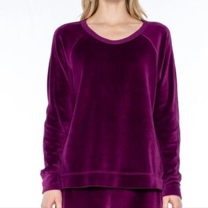 Wilt Womens Purple Long Sleeve Velour Crew Raglan Tunic Sweatshirt Size XS NWT